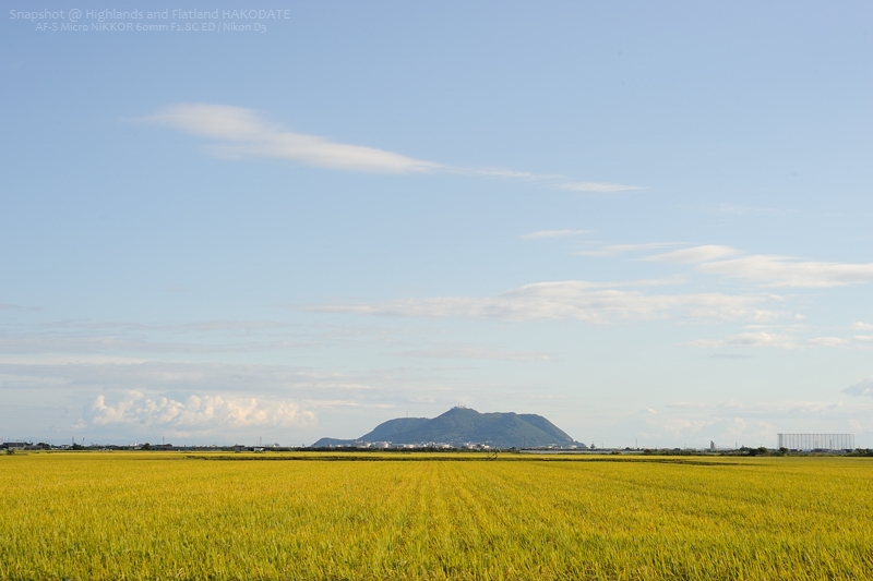  HAKODATE SNAPSHOT----Hight / Flat ----_a0062697_2304134.jpg