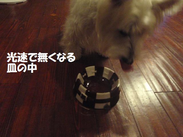 e0138005_1373588.jpg