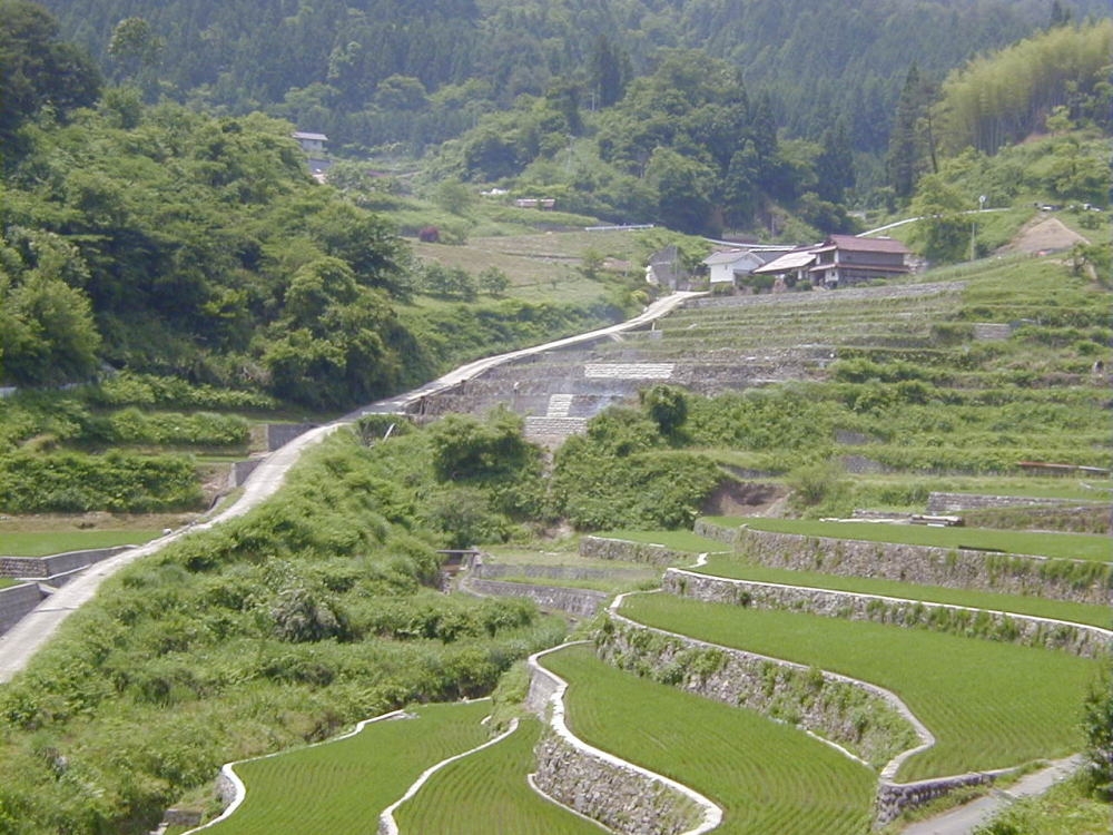 b0169307_15265789.jpg