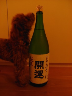 日本酒とクー_c0016913_13171427.jpg