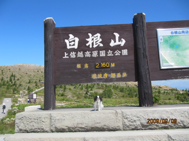c0200916_05416.jpg