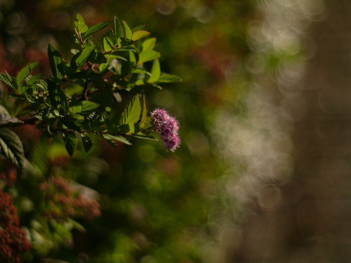 b0148617_1856298.jpg