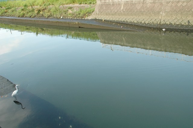 f0012718_1431010.jpg