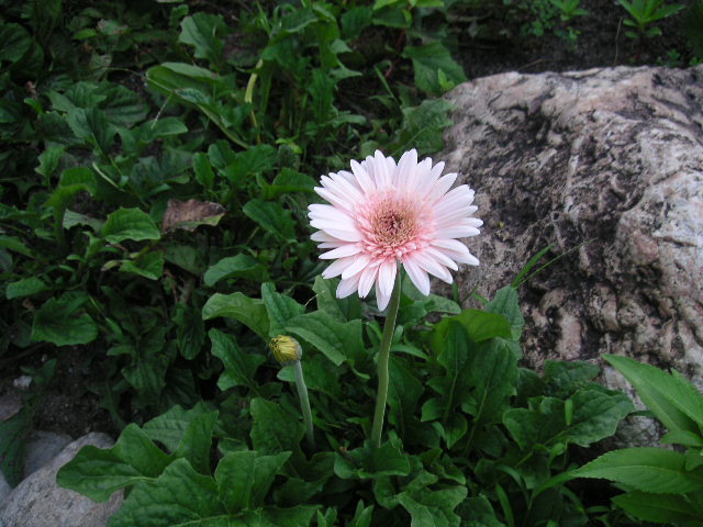 c0127933_16241640.jpg