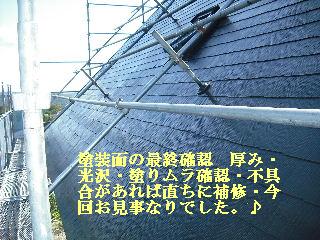 最後の仕上げ・・・4日目_f0031037_21201784.jpg