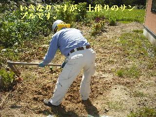 最後の仕上げ・・・4日目_f0031037_2123479.jpg