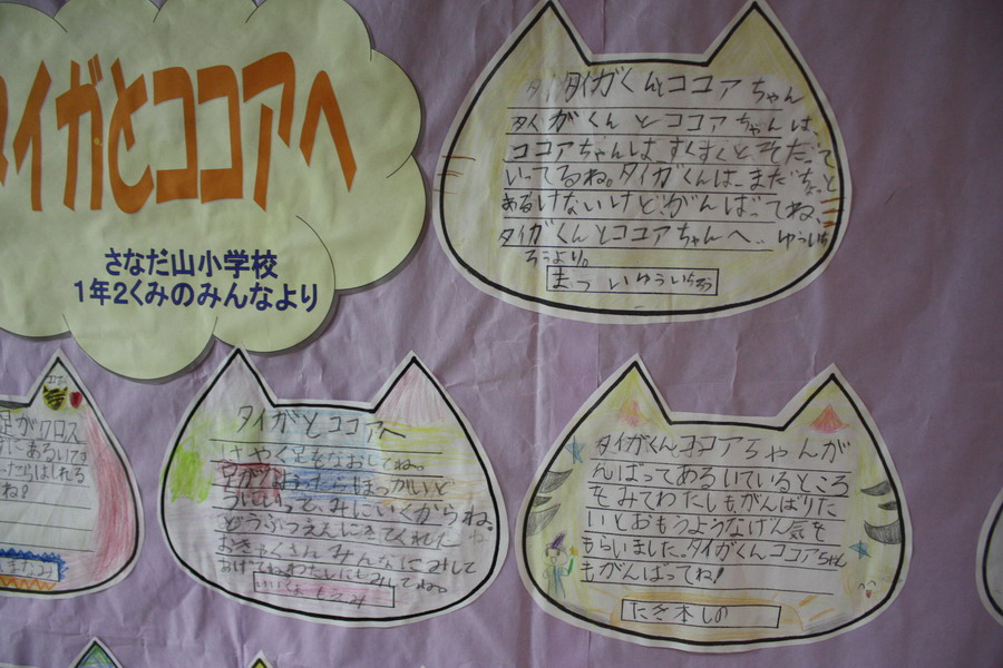 タイガとココア子供たちの願い 9月14日_f0113639_9463374.jpg