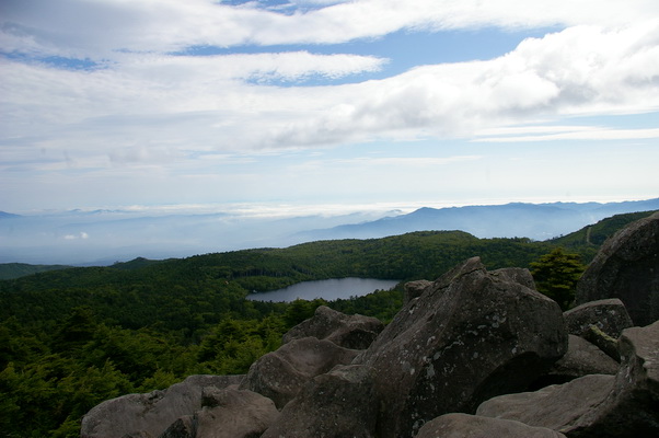 d0059441_0112014.jpg