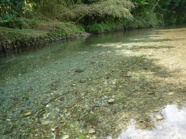 e0195241_2122146.jpg