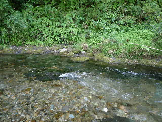 e0195241_2143695.jpg