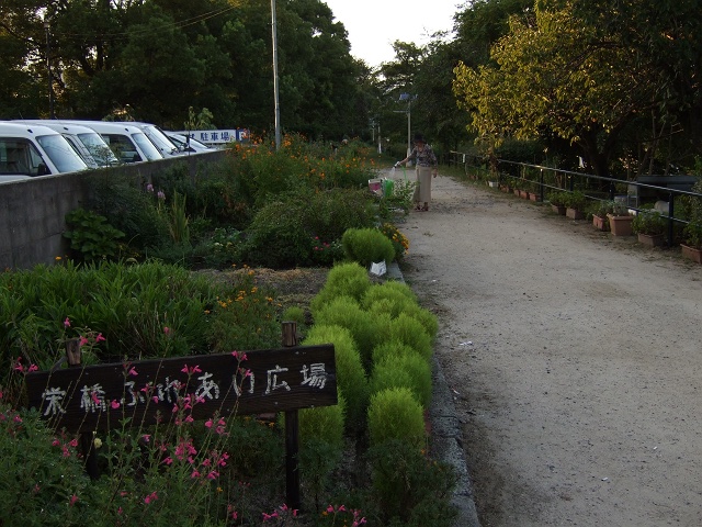 f0029441_865676.jpg