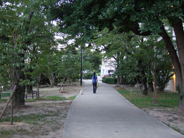 f0029441_871154.jpg