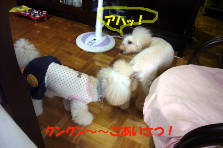 d0070047_23485445.jpg