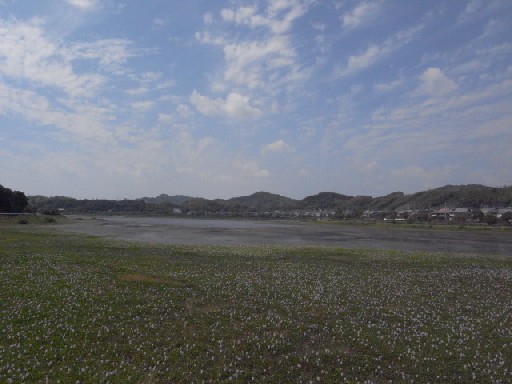 c0153951_16424073.jpg