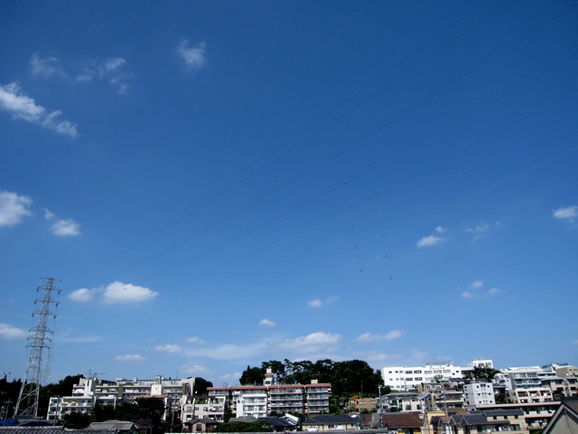 空へ。_d0038951_2322429.jpg