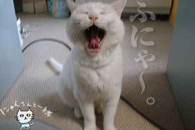 ぞんざいな感じ_e0031853_14115245.jpg