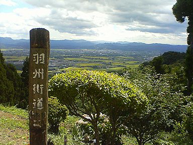 a0096557_7463861.jpg