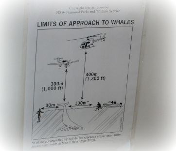 e0171258_23541987.jpg