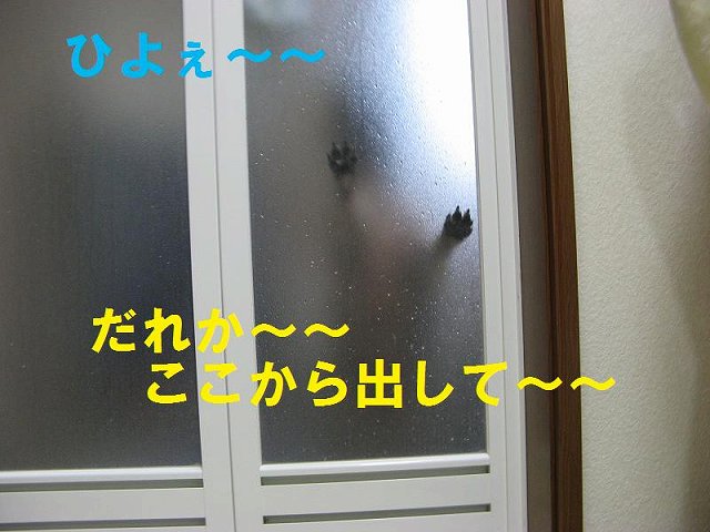 c0202659_19124153.jpg