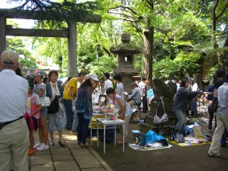 b0135267_9501776.jpg