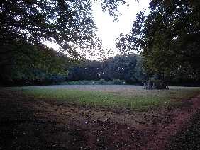 e0033570_1949192.jpg