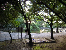 e0033570_19495622.jpg