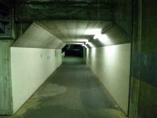 e0112879_16491598.jpg