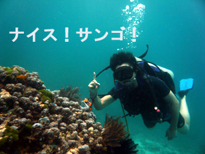 ナイス・フィーバー!ラチャヤイ島!_f0144385_2031732.jpg