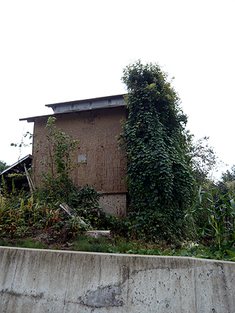 ベーハ小屋の聖地 益子より_e0066586_1633026.jpg