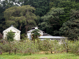 ベーハ小屋の聖地 益子より_e0066586_16331253.jpg