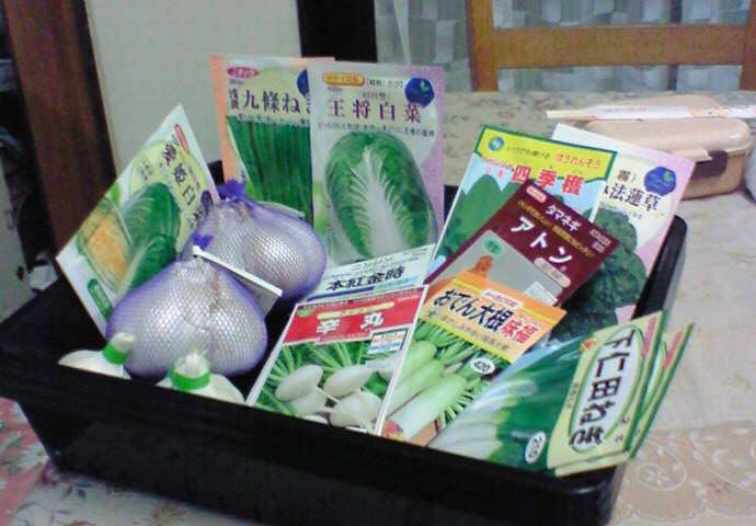 自分の区画 ほぼ終了_e0193588_0402063.jpg