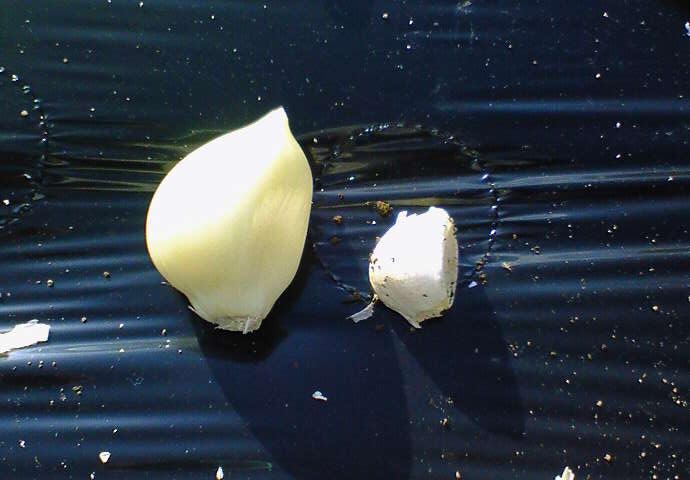 自分の区画 ほぼ終了_e0193588_043015.jpg