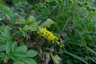 高ボッチ高原へ(長野)_b0142989_18475.jpg