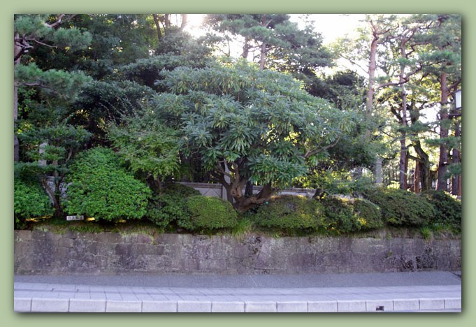 天神橋～青雲寺～21世紀美術館_f0079990_8541430.jpg