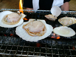 遅い夏休み_a0123191_16421220.jpg