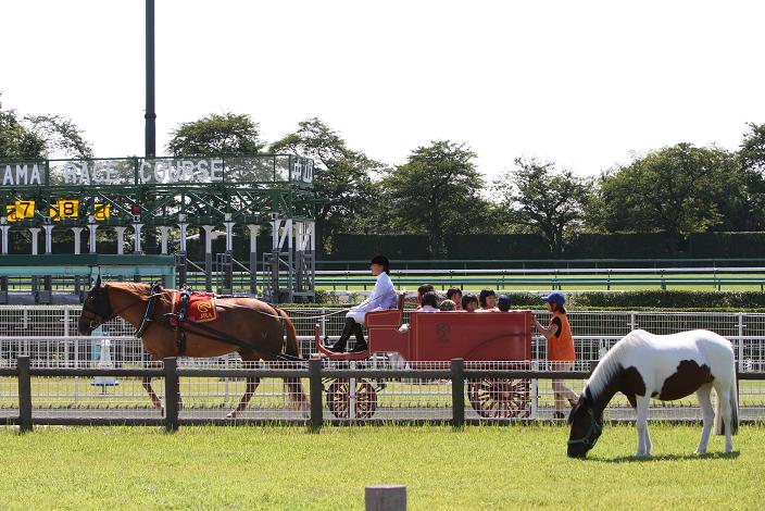 中山競馬場でのんびり_e0158796_21495622.jpg