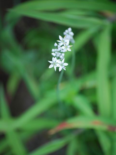e0025300_2120582.jpg