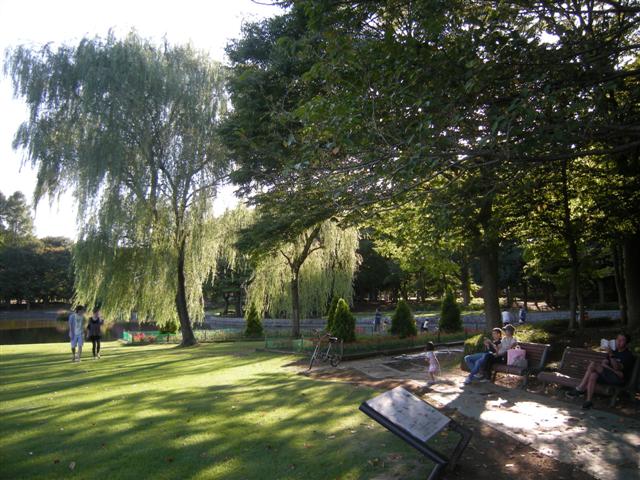 b0120103_17535380.jpg