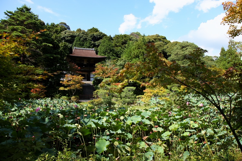 秋の風は気持ちに優しい。_c0043403_229257.jpg