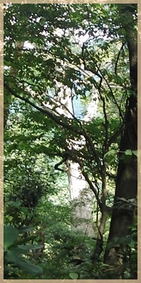 c0051105_1051395.jpg