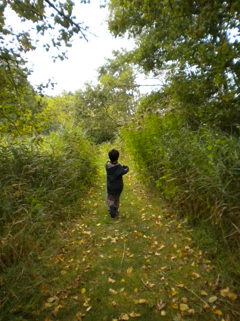 e0160905_2152348.jpg