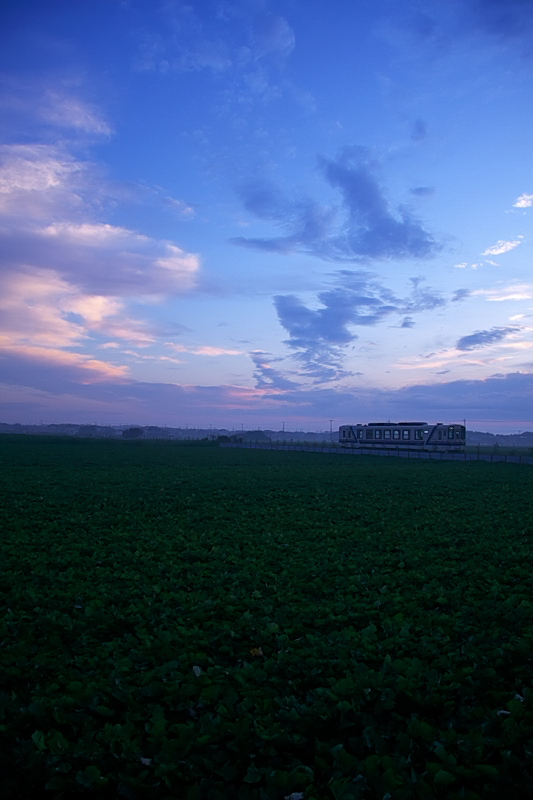 b0180907_23113234.jpg