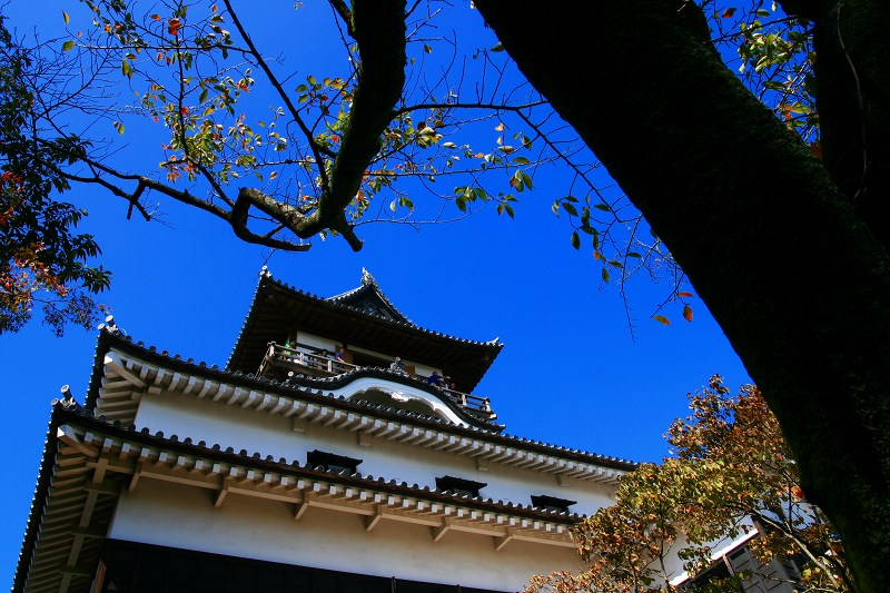 秋晴れの下・・多治見～犬山～名古屋　Mini Trip-Ⅱ_f0201711_22442895.jpg