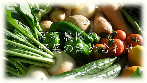 抽選の結果発表をメルマガで・・　宮坂農園の野菜詰め合わせ_d0109415_20111719.jpg