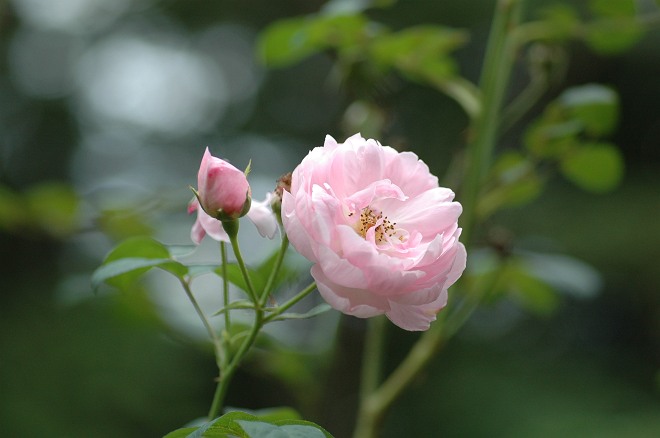 b0152416_2314425.jpg