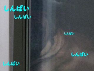 e0192217_9132158.jpg