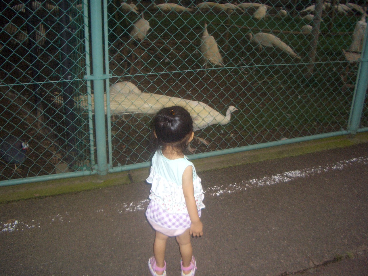 今年の夏休み。_c0037419_16313058.jpg