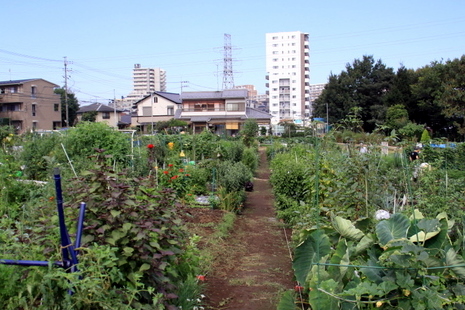 b0165522_1953787.jpg