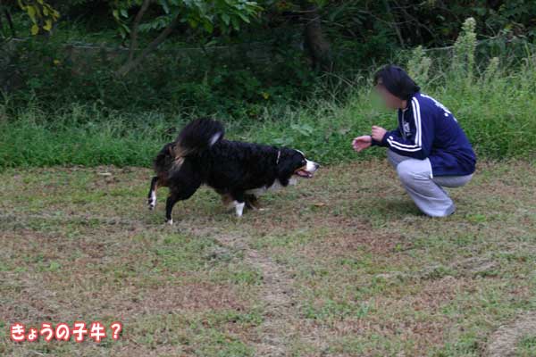 そういえば、去年の９月もキャンプだったなぁ（笑）_f0203423_14513229.jpg