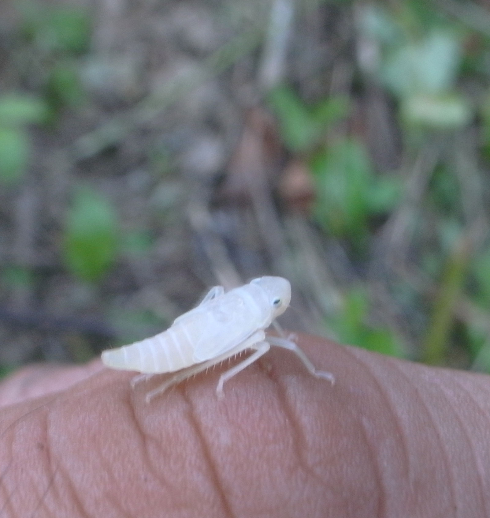 c0167329_2213226.jpg